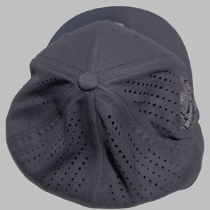 Perfect Game fitted hat